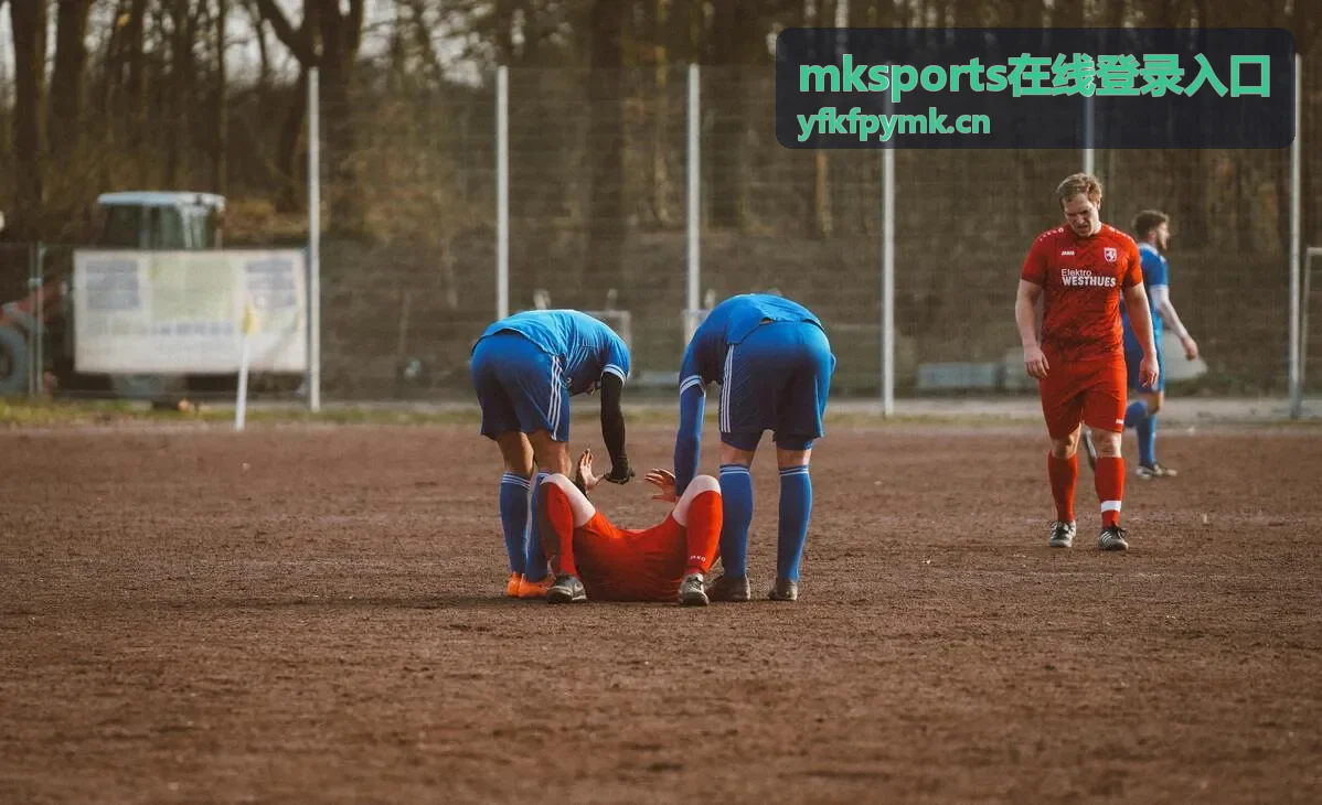 mksports在线登录入口登录失败排查顺序