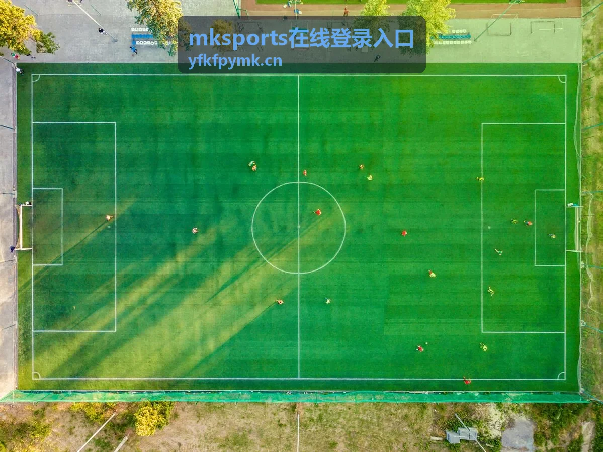 mksports在线登录入口账号安全防护说明配图