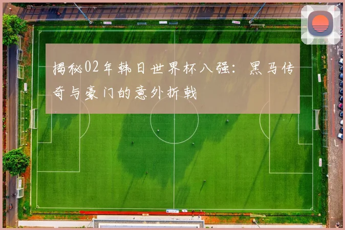 揭秘02年韩日世界杯八强：黑马传奇与豪门的意外折戟