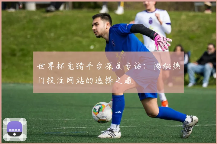 世界杯竞猜平台深度专访：揭秘热门投注网站的选择之道