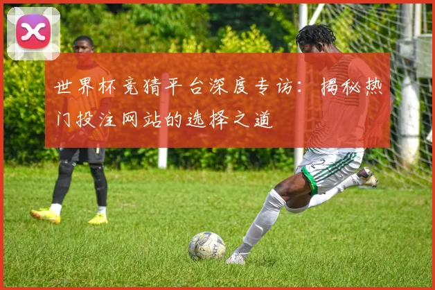 世界杯竞猜平台深度专访：揭秘热门投注网站的选择之道