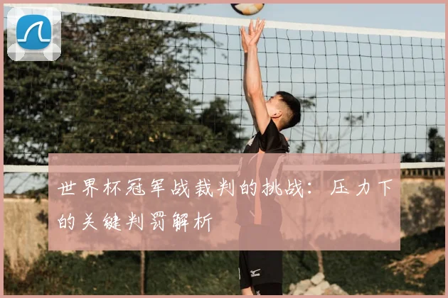 世界杯冠军战裁判的挑战:压力下的关键判罚解析