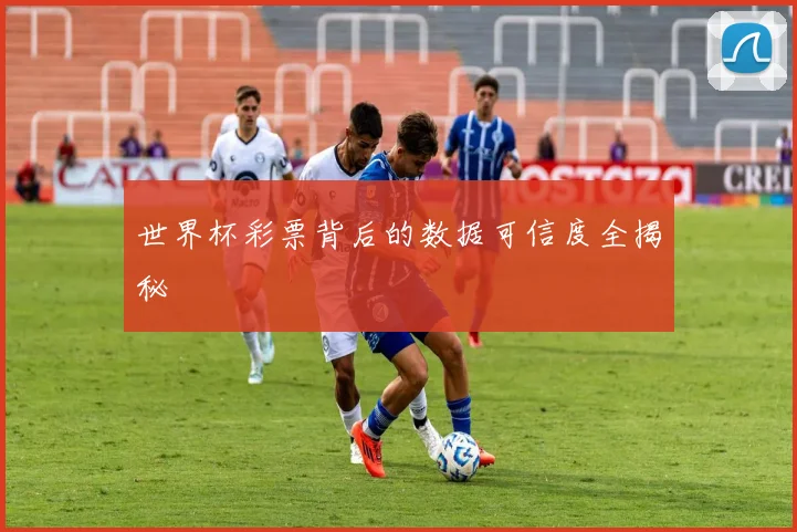 世界杯彩票背后的数据可信度全揭秘