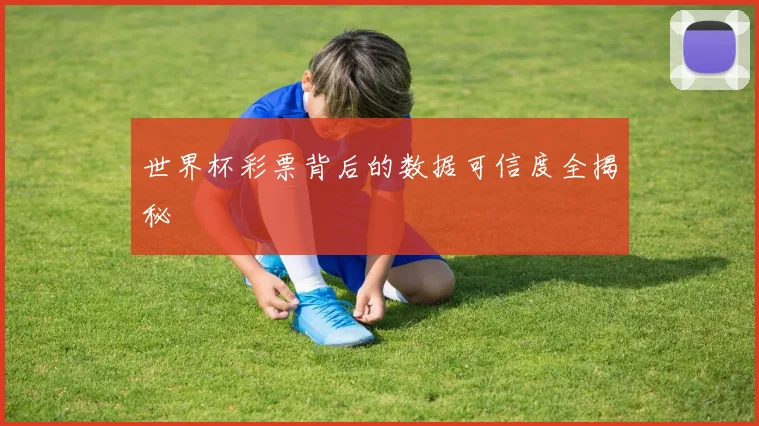 世界杯彩票背后的数据可信度全揭秘