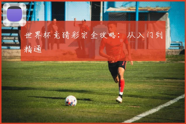 世界杯竞猜彩宗全攻略：从入门到精通