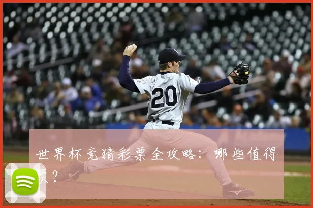 世界杯竞猜彩票全攻略：哪些值得买？